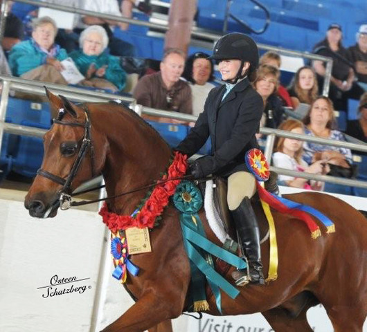 2012 Scottsdale Show | Schatzberg/Osteen