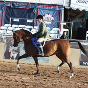 2012 Scottsdale Show | Schatzberg/Osteen