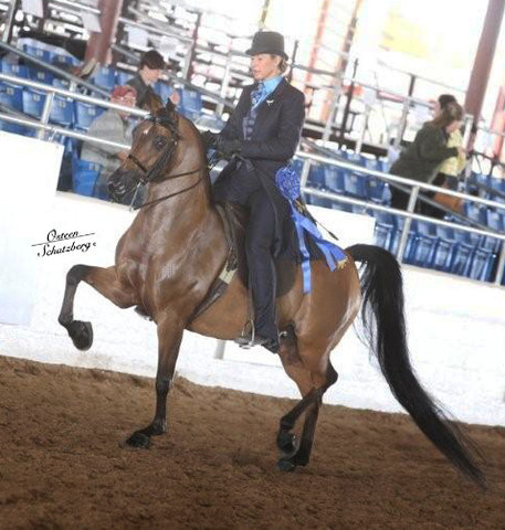 2012 Scottsdale Show | Schatzberg/Osteen