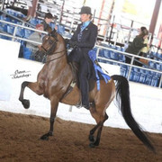 2012 Scottsdale Show | Schatzberg/Osteen