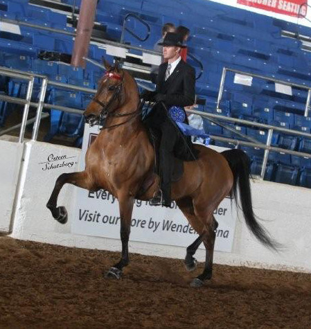 2012 Scottsdale Show | Schatzberg/Osteen
