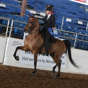 2012 Scottsdale Show | Schatzberg/Osteen