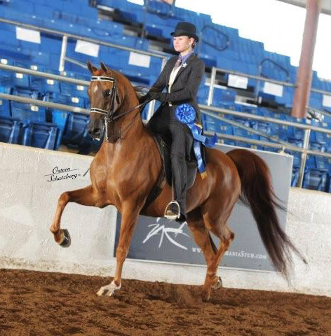 2012 Scottsdale Show | Schatzberg/Osteen