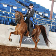 2012 Scottsdale Show | Schatzberg/Osteen