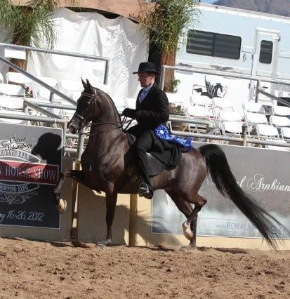 2012 Scottsdale Show | Schatzberg/Osteen