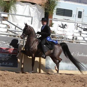 2012 Scottsdale Show | Schatzberg/Osteen