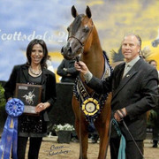 2012 Scottsdale Show | Schatzberg/Osteen