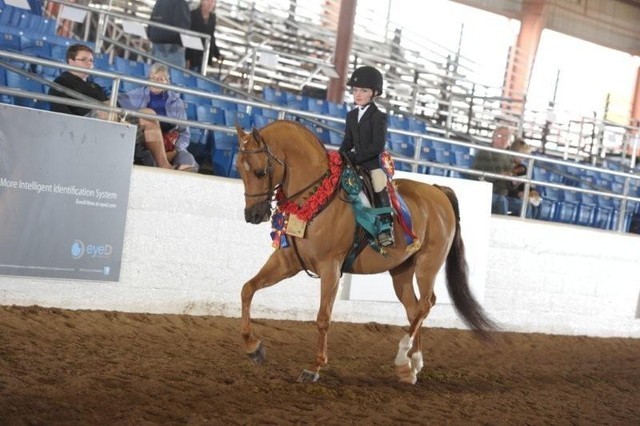 2012 Scottsdale Show | Schatzberg/Osteen