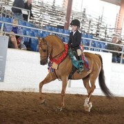 2012 Scottsdale Show | Schatzberg/Osteen