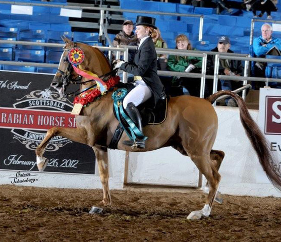 2012 Scottsdale Show | Schatzberg/Osteen