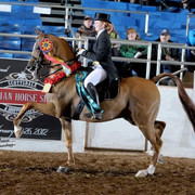 2012 Scottsdale Show | Schatzberg/Osteen