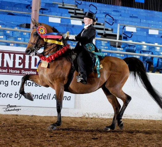 2012 Scottsdale Show | Schatzberg/Osteen