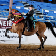 2012 Scottsdale Show | Schatzberg/Osteen