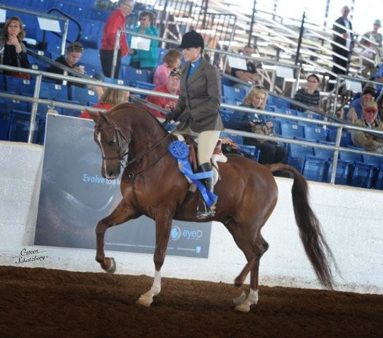 2012 Scottsdale Show | Schatzberg/Osteen