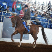 2012 Scottsdale Show | Schatzberg/Osteen