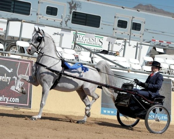 2012 Scottsdale Show | Schatzberg/Osteen