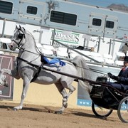2012 Scottsdale Show | Schatzberg/Osteen
