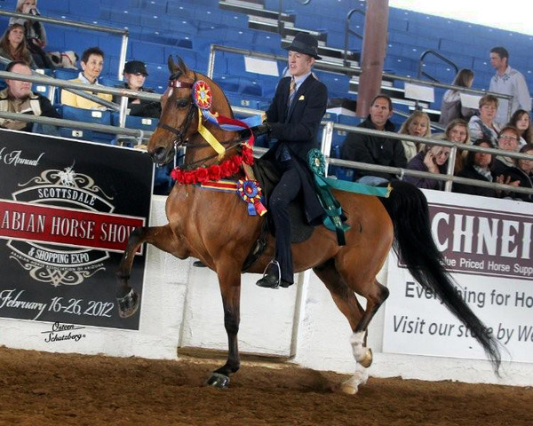 2012 Scottsdale Show | Schatzberg/Osteen
