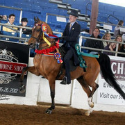 2012 Scottsdale Show | Schatzberg/Osteen