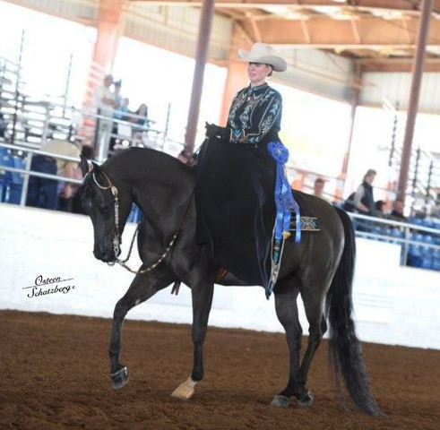 2012 Scottsdale Show | Schatzberg/Osteen