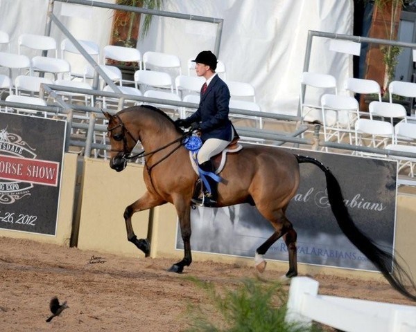 2012 Scottsdale Show | Schatzberg/Osteen