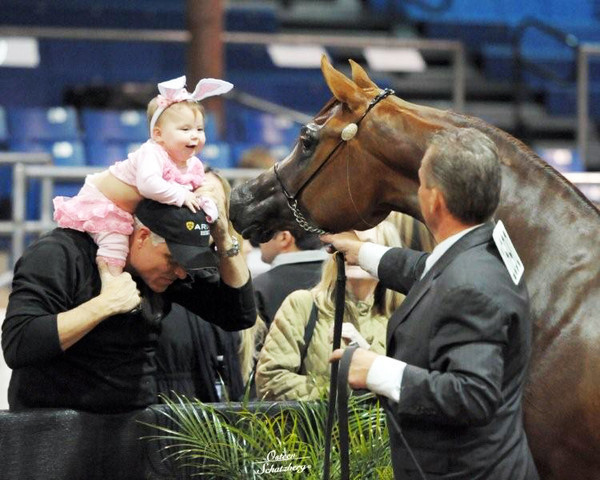 2012 Scottsdale Show | Schatzberg/Osteen