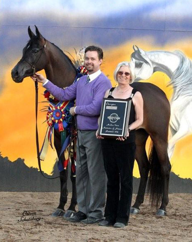 2012 Scottsdale Show | Schatzberg/Osteen