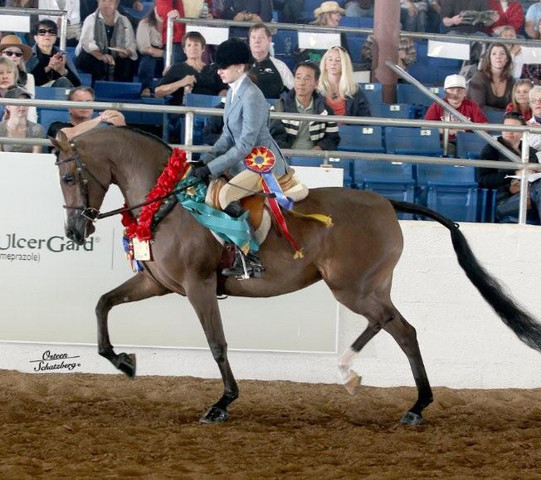 2012 Scottsdale Show | Schatzberg/Osteen