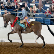 2012 Scottsdale Show | Schatzberg/Osteen