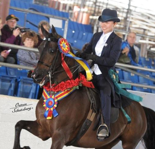 2012 Scottsdale Show | Schatzberg/Osteen