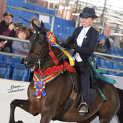 2012 Scottsdale Show | Schatzberg/Osteen