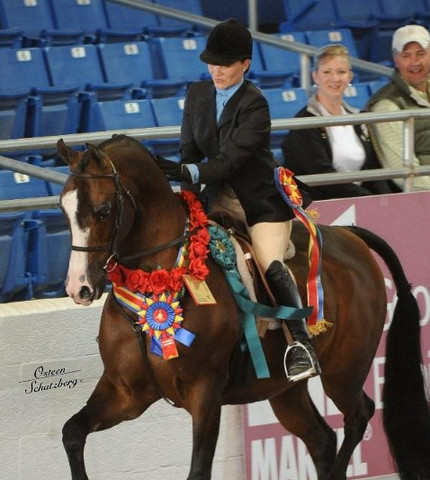 2012 Scottsdale Show | Schatzberg/Osteen