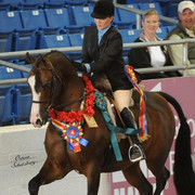 2012 Scottsdale Show | Schatzberg/Osteen
