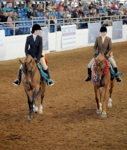 2012 Scottsdale Show | Schatzberg/Osteen