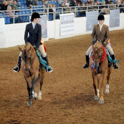 2012 Scottsdale Show | Schatzberg/Osteen
