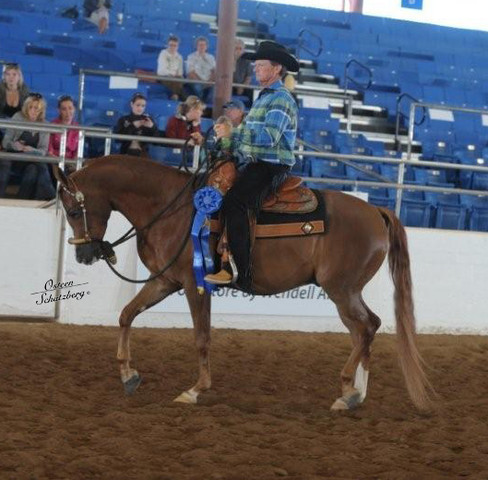 2012 Scottsdale Show | Schatzberg/Osteen