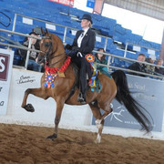 2012 Scottsdale Show | Schatzberg/Osteen
