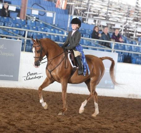 2012 Scottsdale Show | Schatzberg/Osteen