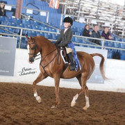 2012 Scottsdale Show | Schatzberg/Osteen