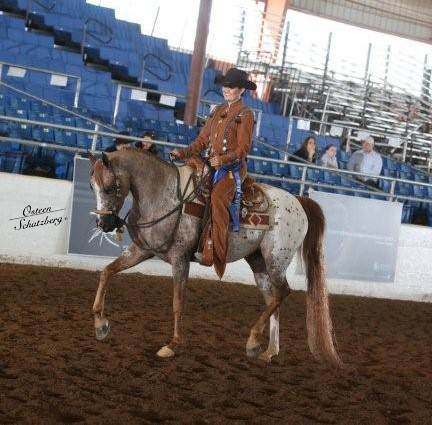 2012 Scottsdale Show | Schatzberg/Osteen