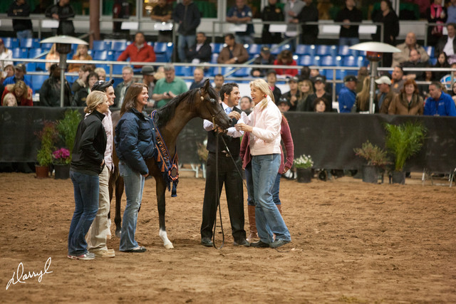 2012 Scottsdale Show Photos | Darryl Larson