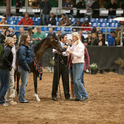 2012 Scottsdale Show Photos | Darryl Larson