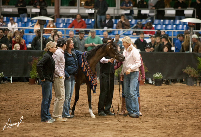 2012 Scottsdale Show Photos | Darryl Larson