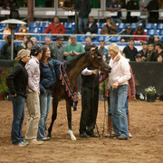 2012 Scottsdale Show Photos | Darryl Larson