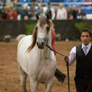2012 Scottsdale Show Photos | Darryl Larson