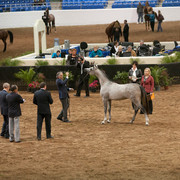 2012 Scottsdale Show Photos | Darryl Larson