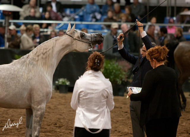 2012 Scottsdale Show Photos | Darryl Larson