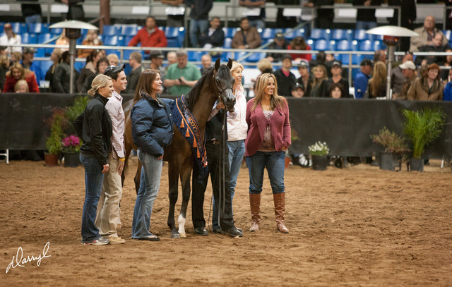 2012 Scottsdale Show Photos | Darryl Larson