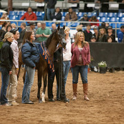 2012 Scottsdale Show Photos | Darryl Larson