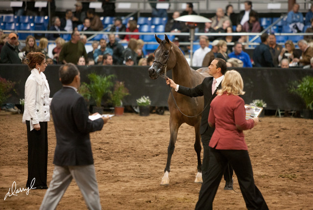 2012 Scottsdale Show Photos | Darryl Larson